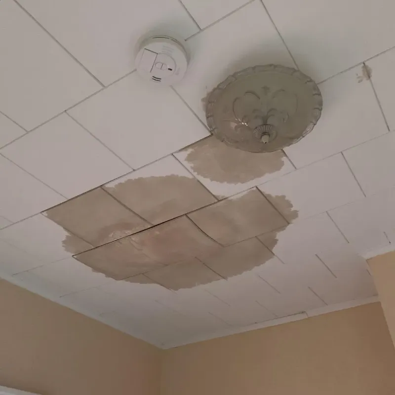 Ceiling Water Damage Repair in Sturgis, SD
