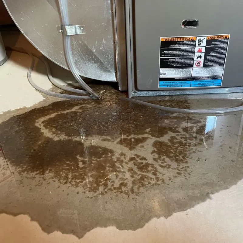 Pipe Burst and Leak Restoration in Sturgis, SD
